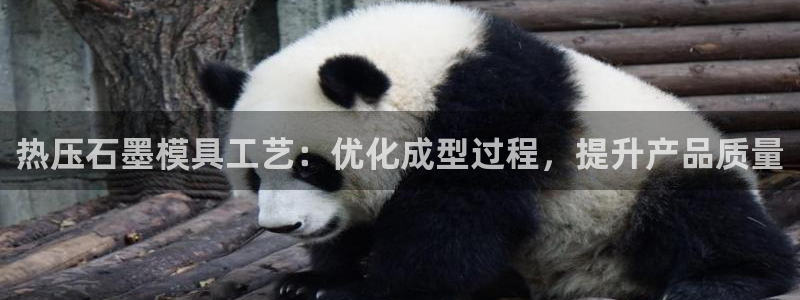 易倍申价格是多少：热压石墨模具工艺：优化成型过程，提升产