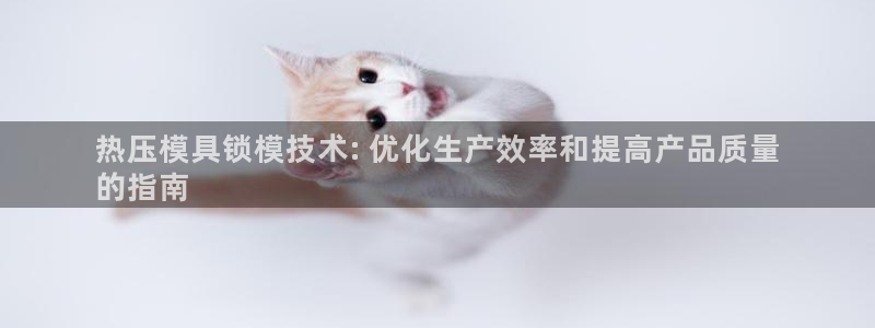 易倍申怎么样：热压模具锁模技术: 优化生产效率和提高产品