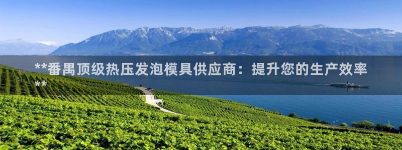 emc易倍：**番禺顶级热压发泡模具供应商：提升您的生产