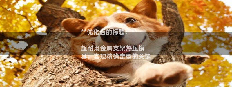 易倍单词软件：**优化后的标题：**

超耐用金属支架热