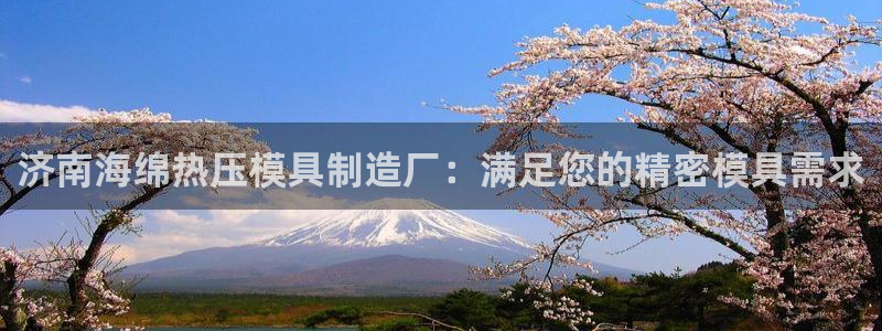 emc易倍全站官网：济南海绵热压模具制造厂：满足您的精密