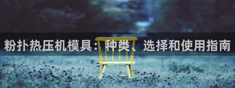 易倍申服用方法：粉扑热压机模具：种类、选择和使用指南