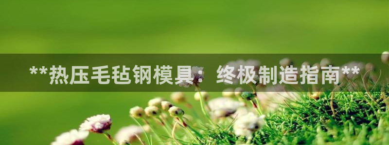 emc易倍电竞：**热压毛毡钢模具：终极制造指南**
