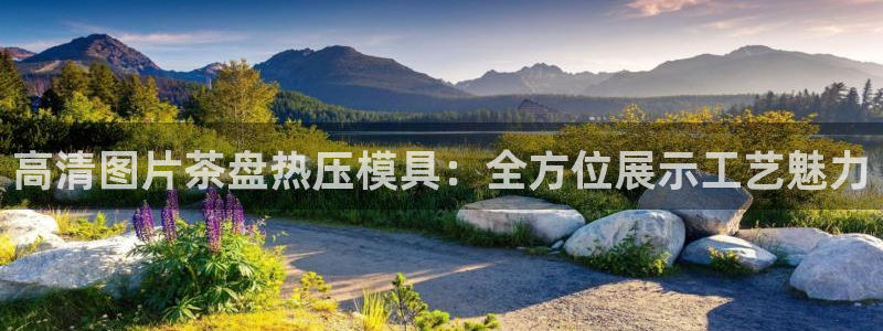 emc易倍app官网下载：高清图片茶盘热压模具：全方位展