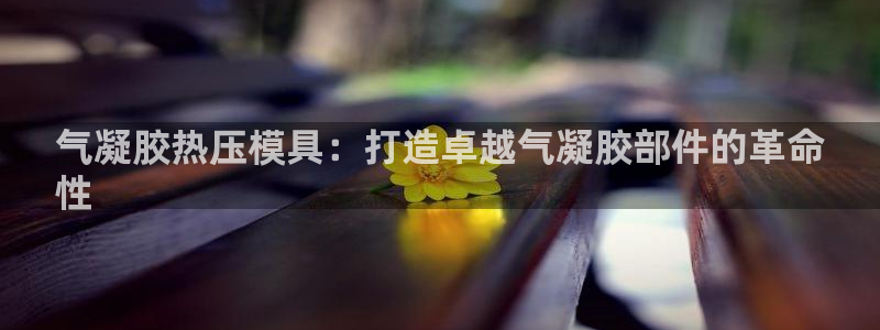 emc易倍app官网下载：气凝胶热压模具：打造卓越气凝胶