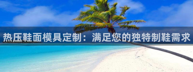易倍app网站：热压鞋面模具定制：满足您的独特制鞋需求