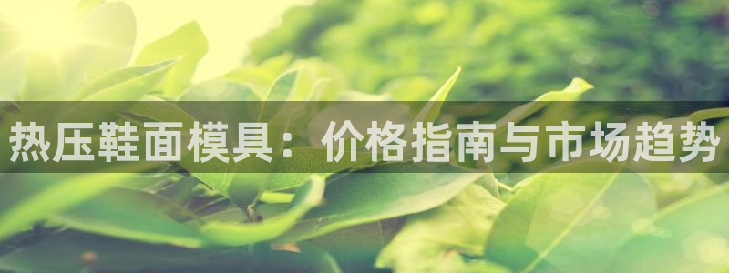 易倍纤代餐奶昔怎么样：热压鞋面模具：价格指南与市场趋势