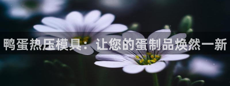易倍emc安全吗：鸭蛋热压模具：让您的蛋制品焕然一新