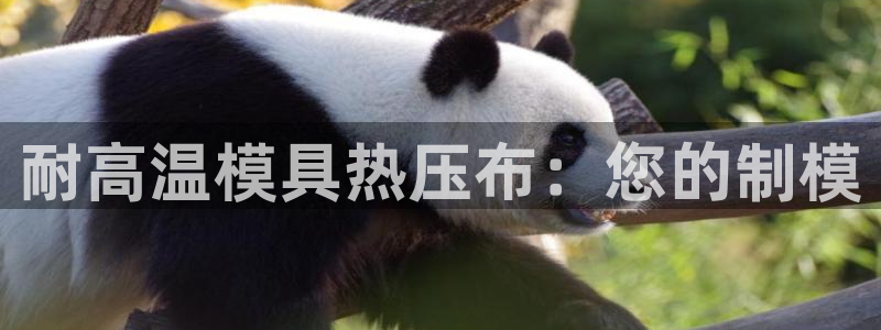 emc测试频率范围：耐高温模具热压布：您的制模