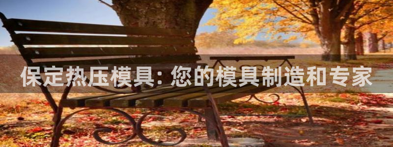 易倍申有用吗：保定热压模具: 您的模具制造和专家