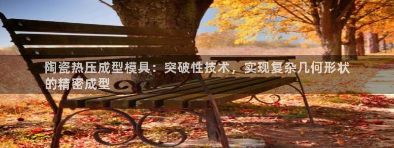 易倍纤谷物粉效果好吗：陶瓷热压成型模具：突破性技术，实现