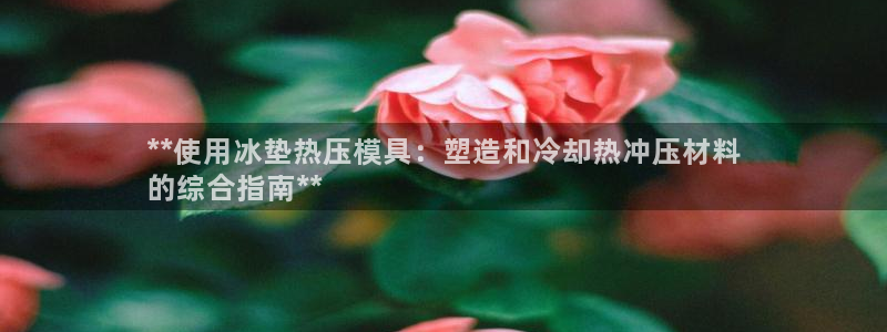 emc下载ios：**使用冰垫热压模具：塑造和冷却热冲压