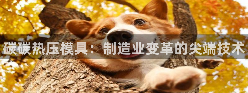 emc mcu：碳碳热压模具：制造业变革的尖端技术
