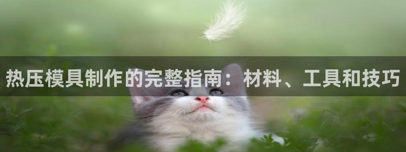 emc服务器是什么：热压模具制作的完整指南：材料、工具和