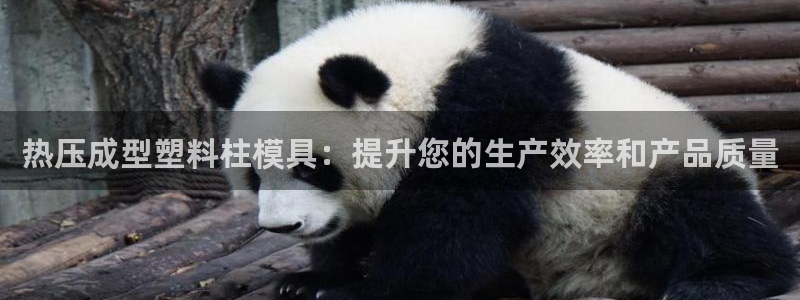 emc易倍账号异常：热压成型塑料柱模具：提升您的生产效率