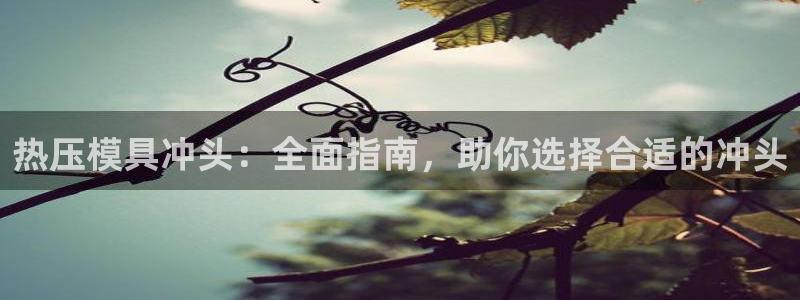 易倍申片能长期服用吗：热压模具冲头：全面指南，助你选择合
