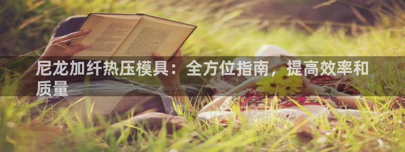 emc倍频干扰：尼龙加纤热压模具：全方位指南，提高效率和