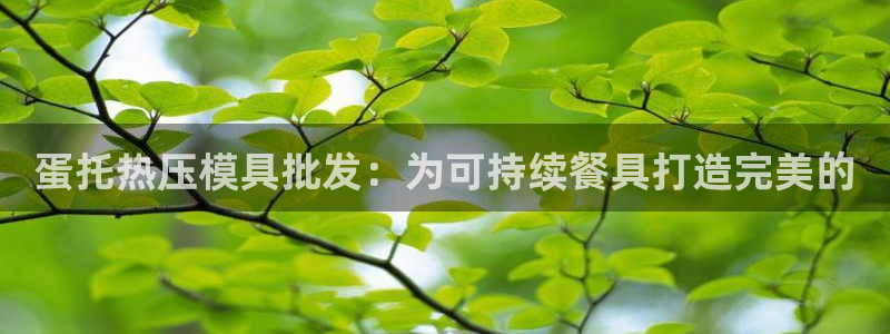 易倍全站：蛋托热压模具批发：为可持续餐具打造完美的
