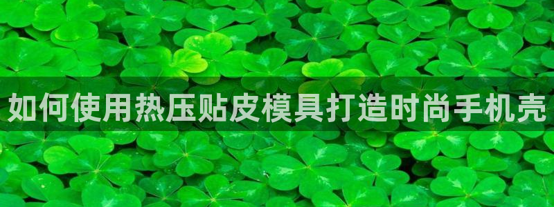 上海易倍投资有限公司：如何使用热压贴皮模具打造时尚手机壳