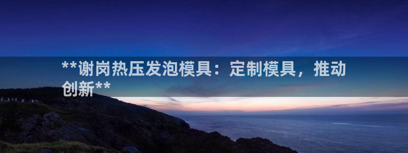 易倍思机电制造(上海)有限公司：**谢岗热压发泡模具：定