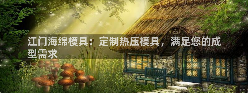 emc易贝体育怎么样：江门海绵模具：定制热压模具，满足您