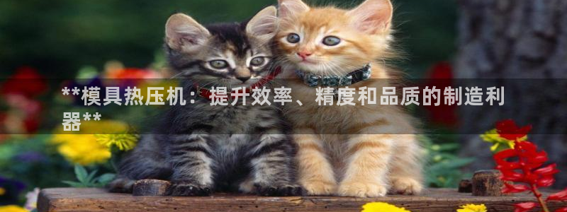 EMC易倍官网招聘：**模具热压机：提升效率、精度和品质