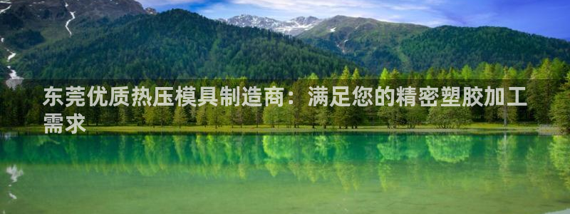 emc易倍最新链接：东莞优质热压模具制造商：满足您的精密