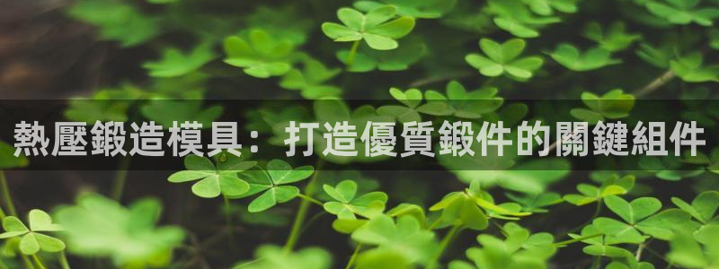 emc易倍ios官网：熱壓鍛造模具：打造優質鍛件的關鍵組