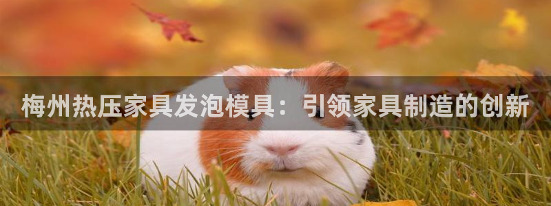 emc易倍ios官网：梅州热压家具发泡模具：引领家具制造