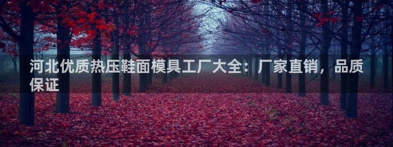 EMC倍频系数：河北优质热压鞋面模具工厂大全：厂家直销，