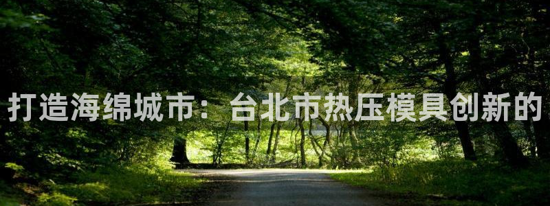 emc倍频干扰怎么解决：打造海绵城市：台北市热压模具创新