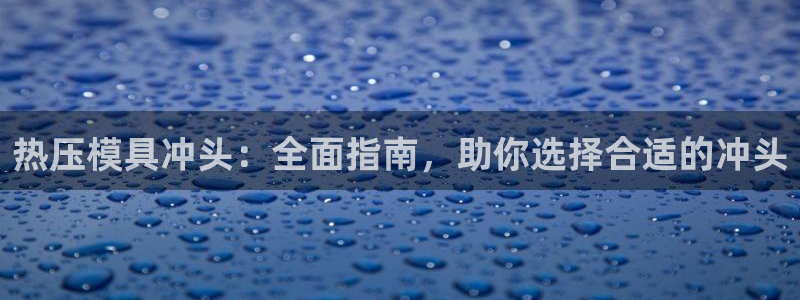 易倍申医保报销：热压模具冲头：全面指南，助你选择合适的冲