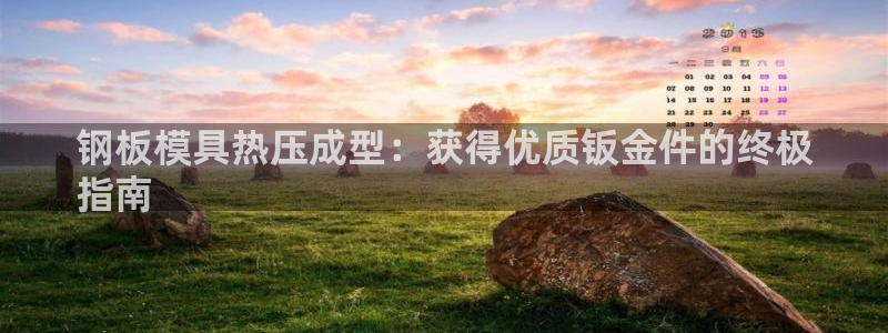 易倍纤酵素效果好吗：钢板模具热压成型：获得优质钣金件的终