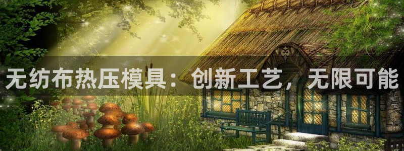 emc易倍官网：无纺布热压模具：创新工艺，无限可能