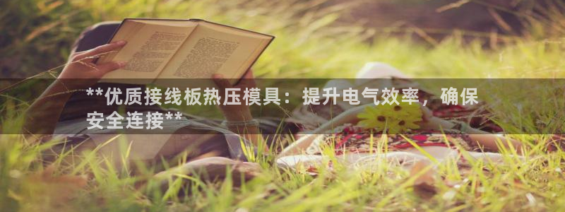 emc倍频超了：**优质接线板热压模具：提升电气效率，确