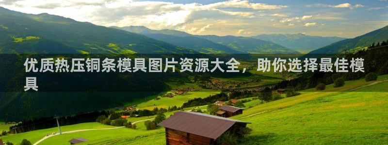 易倍申怎么样：优质热压铜条模具图片资源大全，助你选择最佳