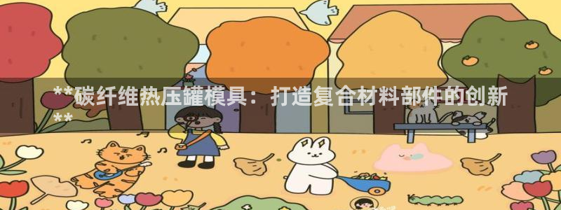 杭州易倍达上班怎么样：**碳纤维热压罐模具：打造复合材料