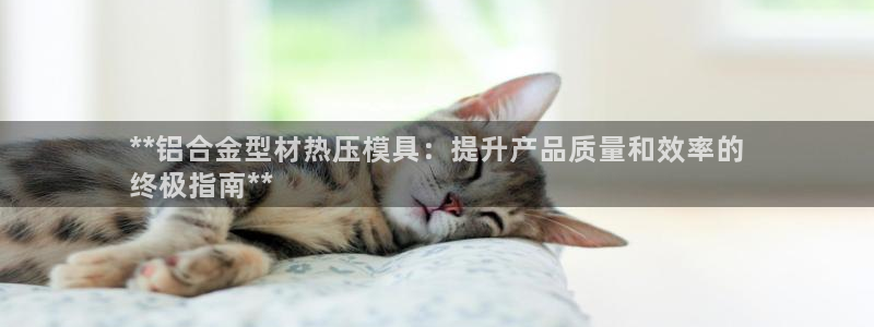 南京易倍易电子科技有限公司：**铝合金型材热压模具：提升