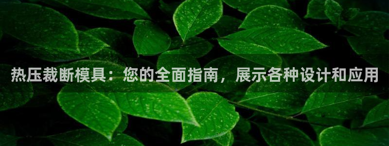 易倍纤奶昔减肥效果怎么样：热压裁断模具：您的全面指南，展