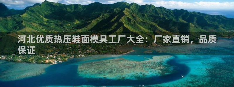 emc易倍全站官网：河北优质热压鞋面模具工厂大全：厂家直