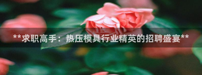 低频的emc用什么滤波：**求职高手：热压模具行业精英的