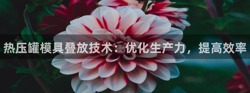 易倍下载手机版：热压罐模具叠放技术：优化生产力，提高效率
