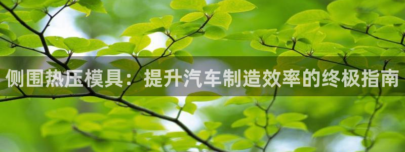 易倍思教育：侧围热压模具：提升汽车制造效率的终极指南