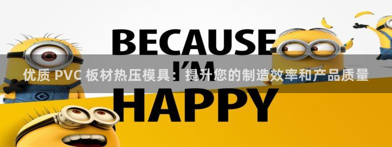 杭州易倍达：优质 PVC 板材热压模具：提升您的制造效率