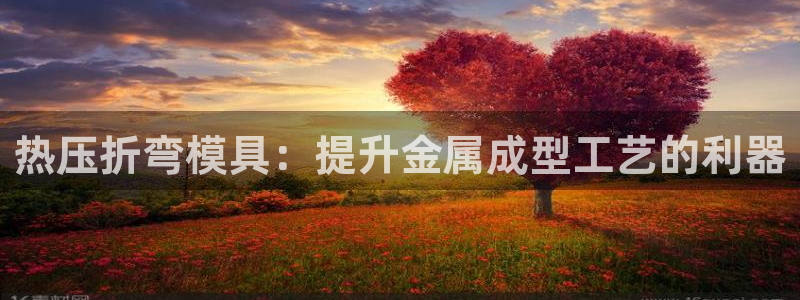 易倍申片：热压折弯模具：提升金属成型工艺的利器
