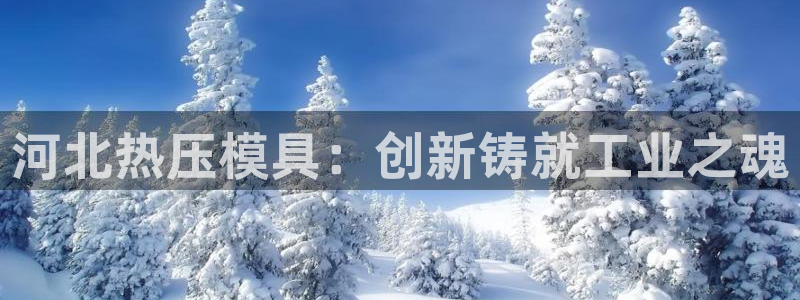 易倍纤能减肥吗：河北热压模具：创新铸就工业之魂