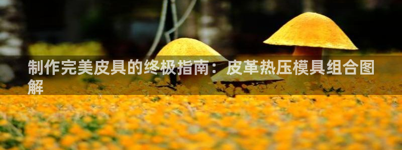 EMC易倍官方平台：制作完美皮具的终极指南：皮革热压模具
