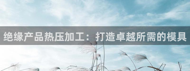 易倍网络技术有限公司怎么样：绝缘产品热压加工：打造卓越所