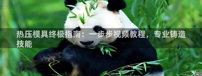 易倍申竞品：热压模具终极指南：一步步视频教程，专业铸造
