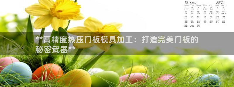 emc易倍的服务优势：**高精度热压门板模具加工：打造完